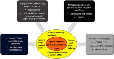 Are Market GM Plants an Unrecognized Platform for Bioterrorism and Biocrime?